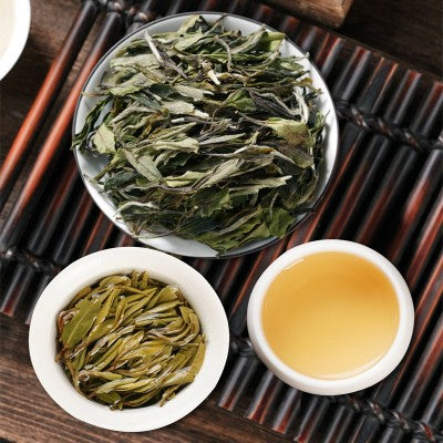 Té Blanco Añejado | Inmunidad, Digestión y Calma Natural