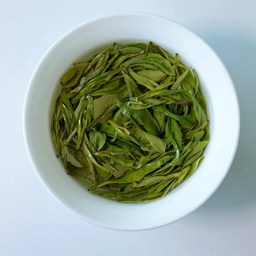 Té Verde Longjing Premium | Antioxidantes, Enfoque y Relajación