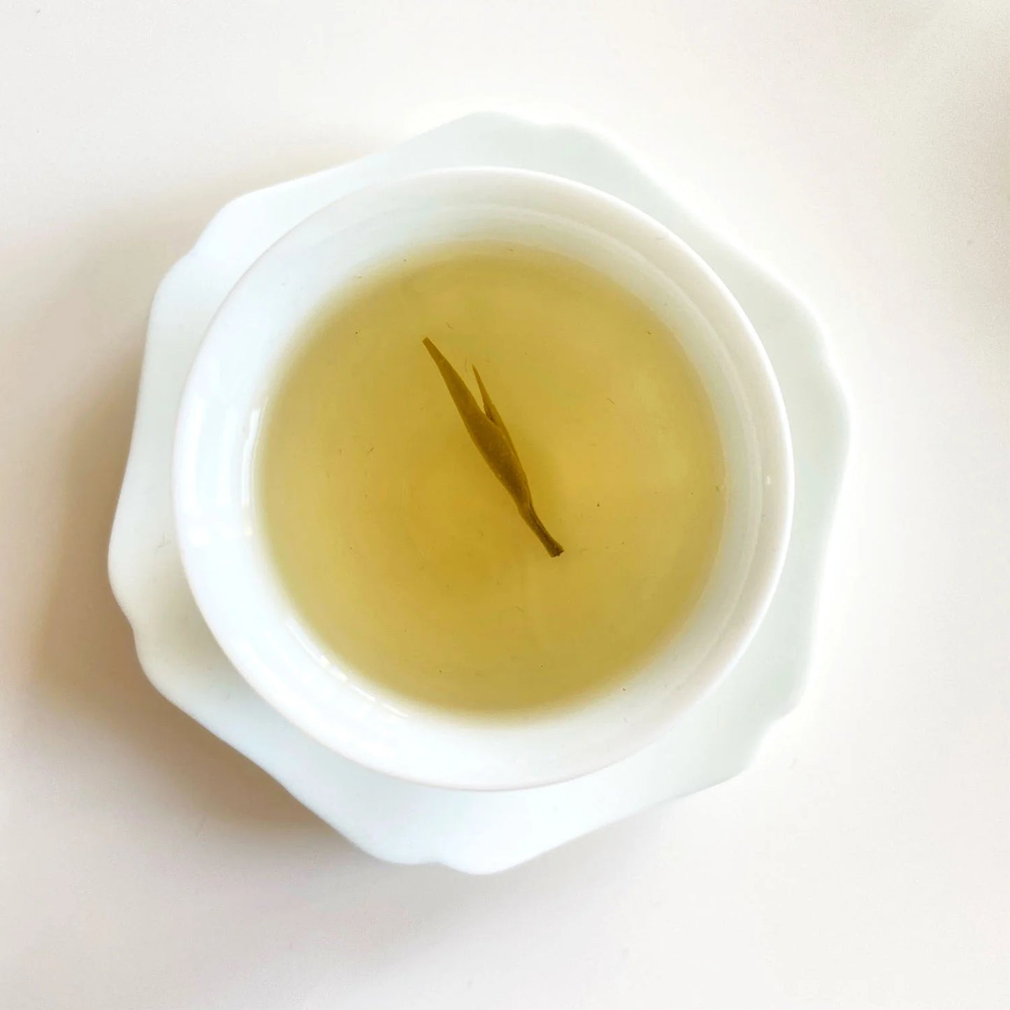 Té Blanco Aguja | Inmunidad, Piel Radiante y Relajación